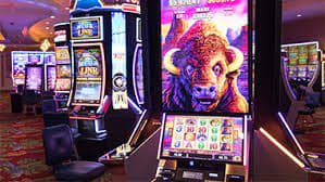 cbm88 Live Casino